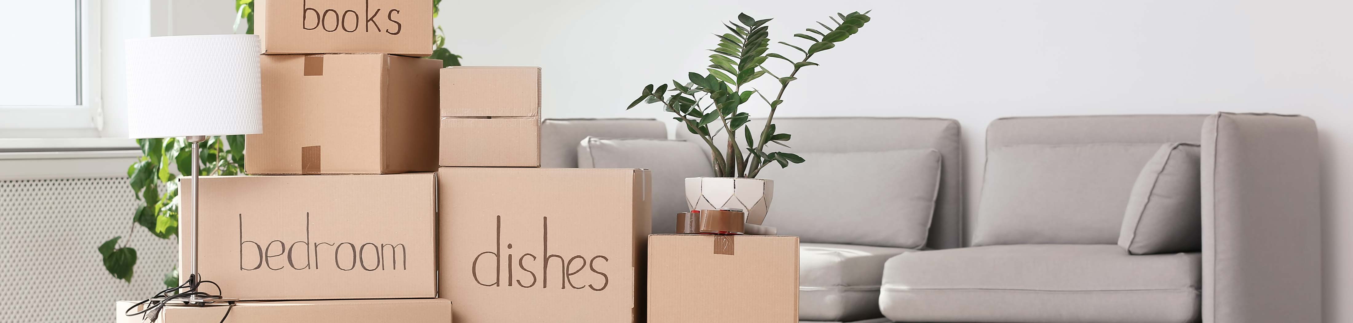 image of boxes packed and sitting on living room floor waiting for the movers