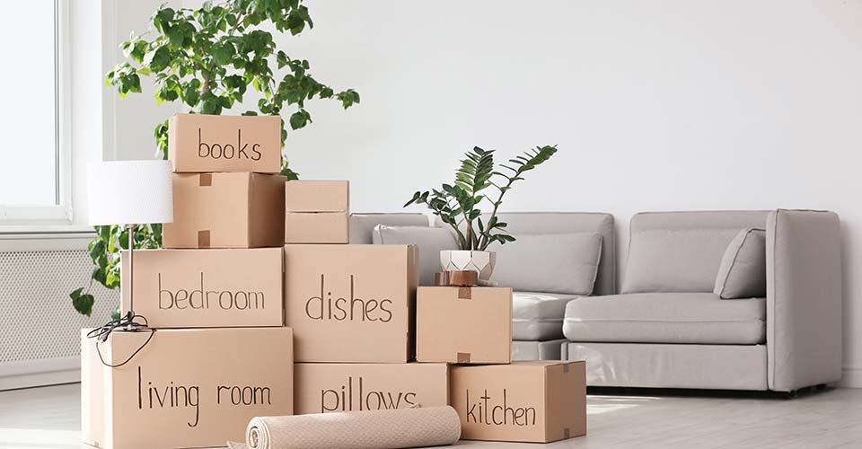 image of boxes packed and sitting on living room floor waiting for the movers